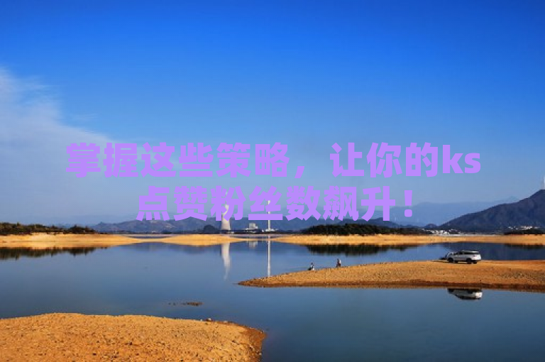 掌握这些策略，让你的ks点赞粉丝数飙升！