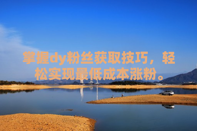 掌握dy粉丝获取技巧，轻松实现最低成本涨粉。