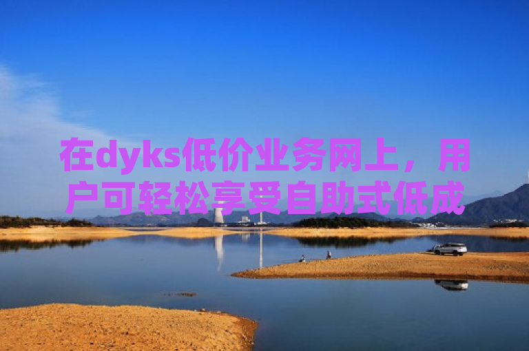 在dyks低价业务网上，用户可轻松享受自助式低成本服务体验。