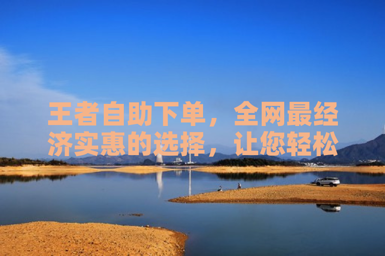 王者自助下单，全网最经济实惠的选择，让您轻松享受游戏乐趣。