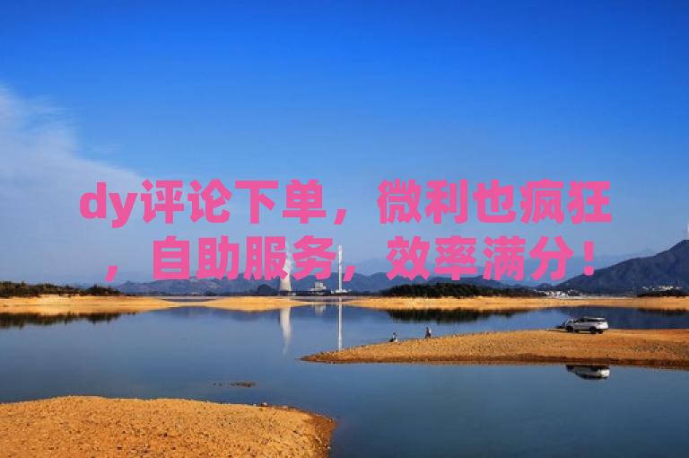 dy评论下单，微利也疯狂，自助服务，效率满分！