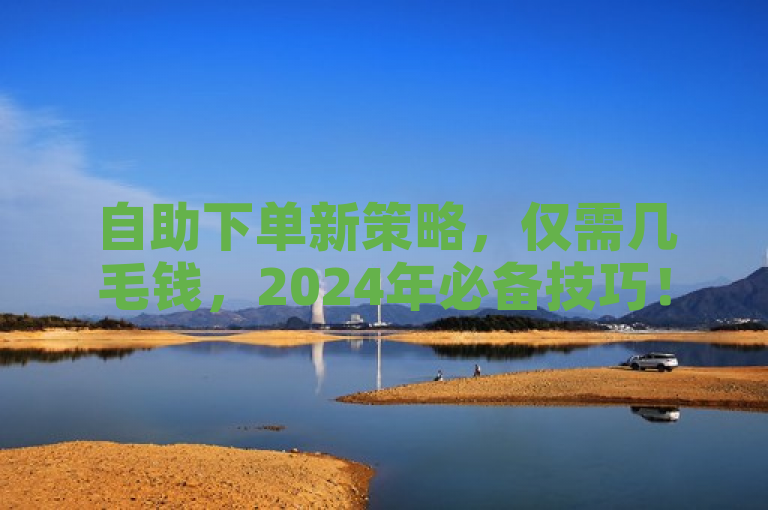 自助下单新策略，仅需几毛钱，2024年必备技巧！