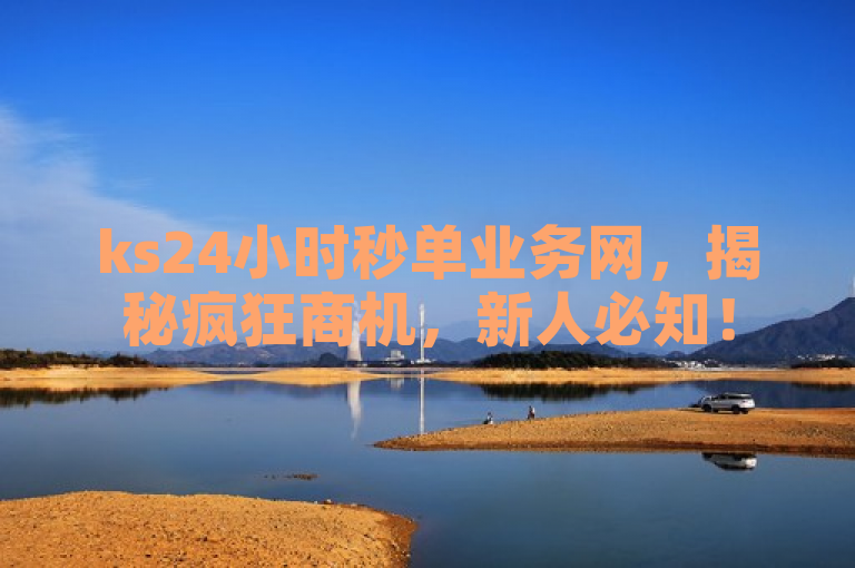 ks24小时秒单业务网，揭秘疯狂商机，新人必知！