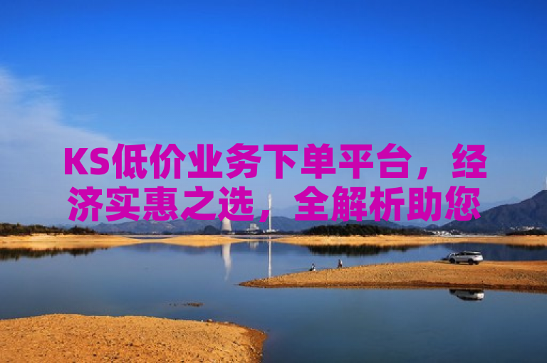 KS低价业务下单平台，经济实惠之选，全解析助您高效下单！