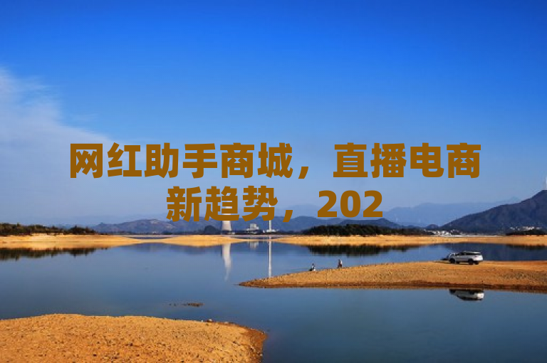 网红助手商城，直播电商新趋势，2025必备技能。