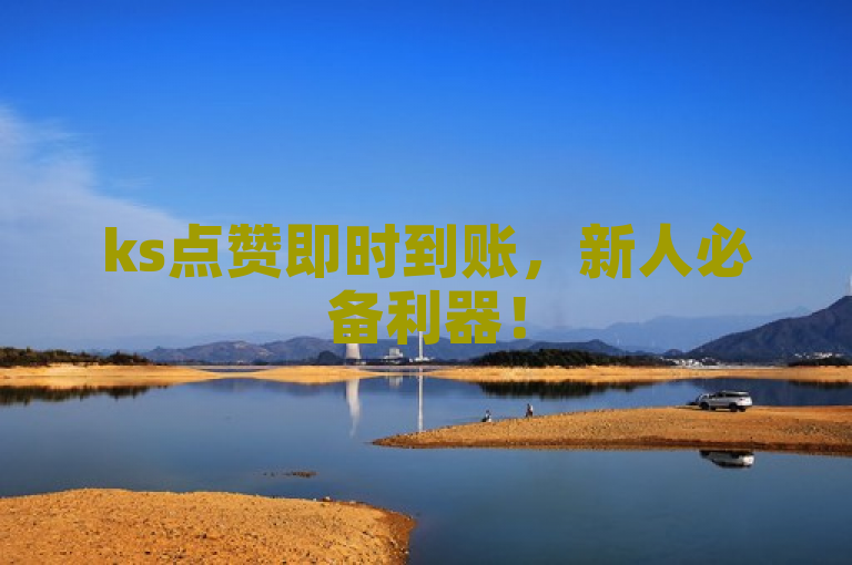 ks点赞即时到账，新人必备利器！