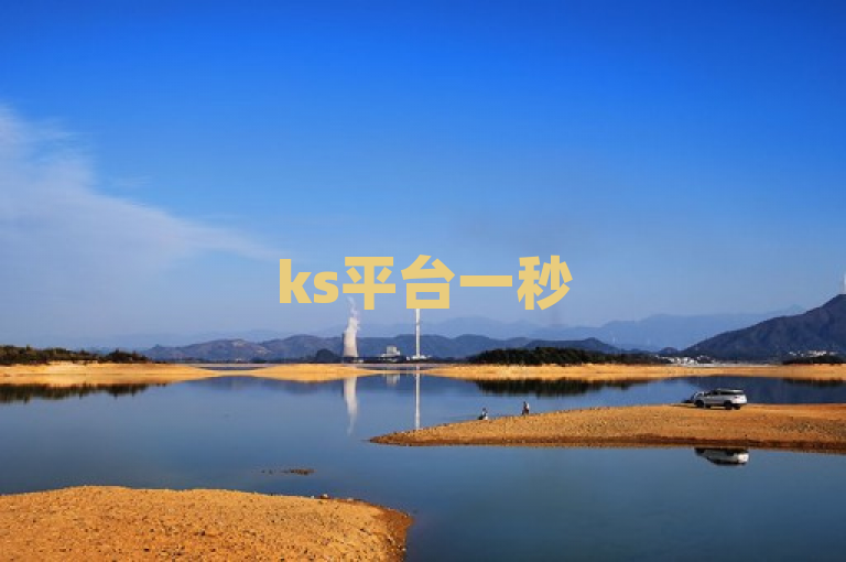 ks平台一秒5000赞，在线业务高效便捷。