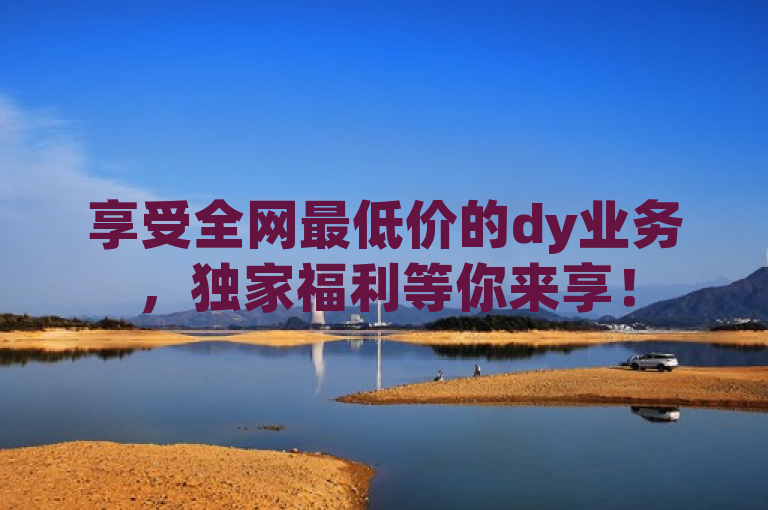 享受全网最低价的dy业务，独家福利等你来享！