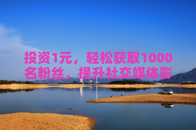 投资1元，轻松获取1000名粉丝，提升社交媒体影响力。