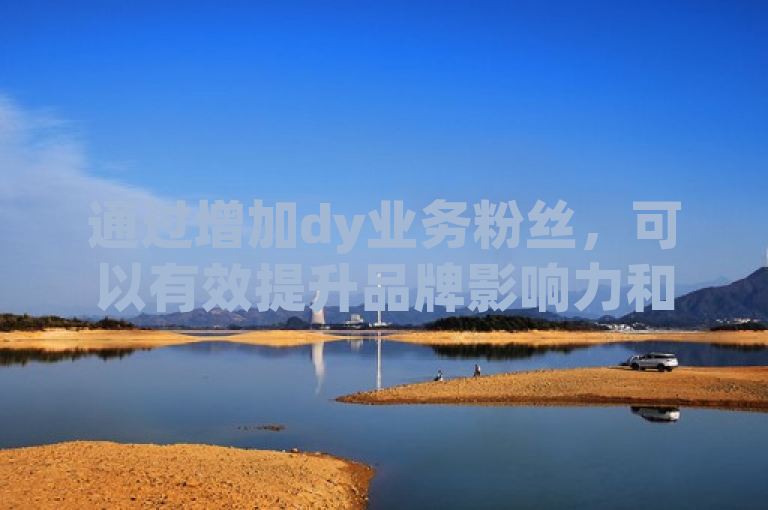 通过增加dy业务粉丝，可以有效提升品牌影响力和市场竞争力。